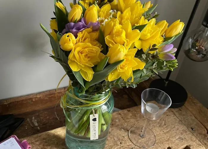 Villa House By The River In