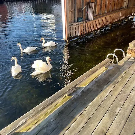 Villa House By The River In