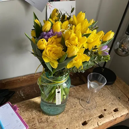 Villa House By The River In