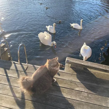 House By The River In Villa Flekkefjord